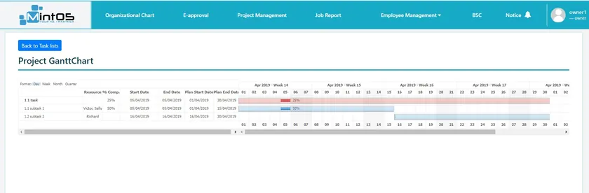 Project Gantt chart of tasks across weeks.